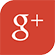 Google Plus